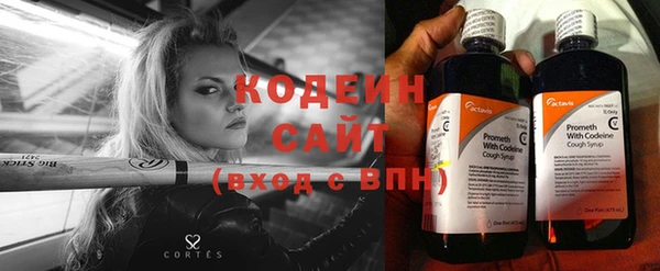 хмурый Арсеньев
