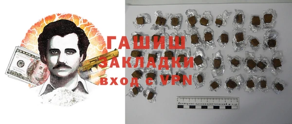 хмурый Арсеньев