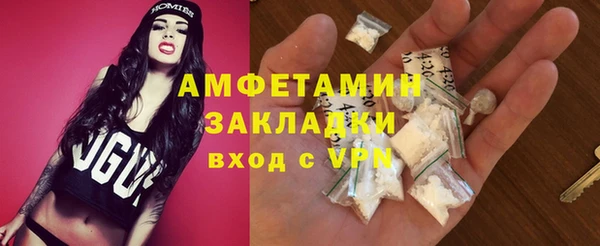хмурый Арсеньев