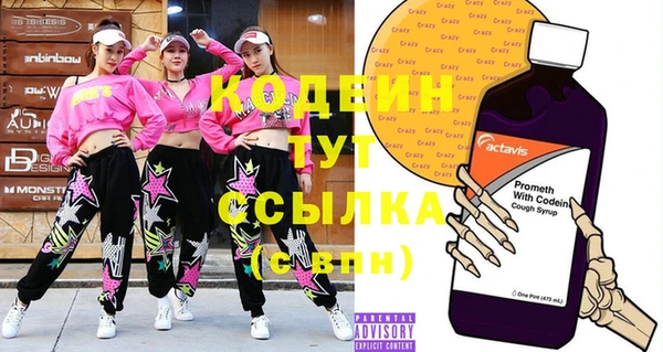 хмурый Арсеньев