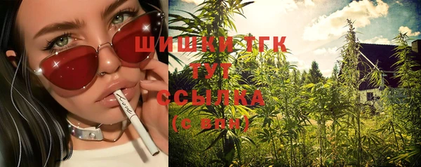 хмурый Арсеньев