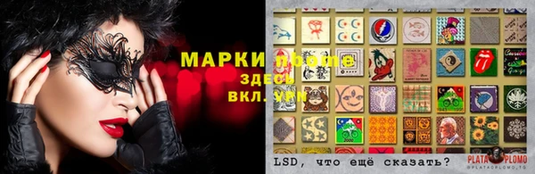 MESCALINE Аркадак