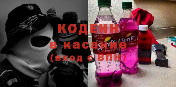хмурый Арсеньев