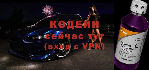 хмурый Арсеньев
