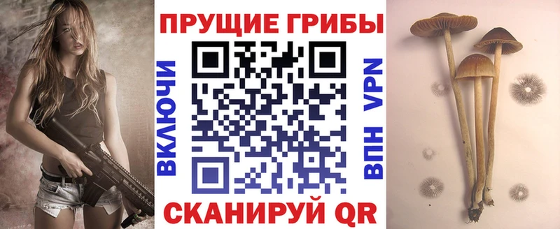 Галлюциногенные грибы MAGIC MUSHROOMS  Купить  Свободный 
